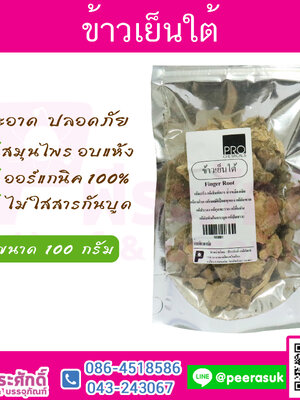 ข้าวเย็นใต้