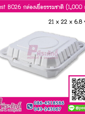 Fest B026 กล่องเยื่อธรรมชาติ 1000 ml