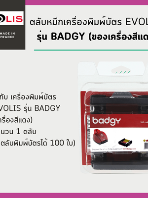 ตลับหมึกสี Badgy 1(VBDG204EU)