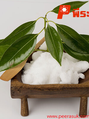 การบูร (Camphor)