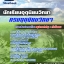 แนวข้อสอบนักเรียนอุตุนิยมวิทยา กรมอุตุนิยมวิทยา 2568