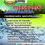 แนวข้อสอบนายช่างโยธา กรมทรัพยากรน้ำ อัปเดต 2568