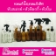 ขวดแก้วใส,ขวดแก้วสีชา+หัวสเปรย์+หัวฟ็อกกี้+หัวปั้ม