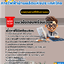 แนวข้อสอบนักบัญชี การไฟฟ้าฝ่ายผลิตแห่งประเทศไทย (กฟผ) 2568