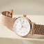 Skagen SKW3099 นาฬิกาผู้หญิง Kuppel Lille Rose gold Women's Watch