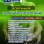 แนวข้อสอบนักวิชาการกรมป่าไม้ กรมอุทยานแห่งชาติ สัตว์ป่า และพันธุ์พืช 2568