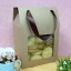 BK41W-K01 กล่องคุกกี้-กล่องหูหิ้ว 9 นิ้ว @10ใบ