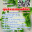แนวข้อสอบ ผู้บริหารสถานศึกษา NEW 2568