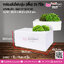 กล่องลังโฟมรุ่น (เตี้ย) 25 กิโล @ 1 ชิ้น / หีบละ 8 ชิ้น