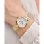 Seiko SRZ536P1 นาฬิกาผู้หญิง DIAMONDS Quartz Women's Watch