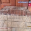 [BK_068] ตะกร้าสแตนเลส MIYATA --ส่งฟรี--