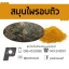 สมุนไพรอบตัว (800 กรัม)