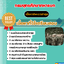 แนวข้อสอบ สายงานทั่วไป กรมยุทธศึกษาทหารบก 2568