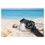 Citizen NB6021-17E นาฬิกาผู้ชาย Promaster Fujitsubo Automatic Super Titanium™ Men's Watch