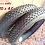 ยางจักรยาน 20 x 4.0 ล้อโต Fat Bike
