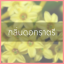 # น้ำหอมกลิ่นดอกราตรี