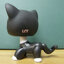 แมวพันธุ์ขนสั้้นสีดำ (Short Hair Cat) #2249