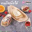 จานเรือเยื่อไม้ 7 นิ้ว @50 ชิ้น