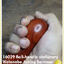 16029 Ball-handle stationary Watanabe tuning hammer