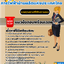 แนวข้อสอบพนักงานวิชาชีพ การไฟฟ้าฝ่ายผลิตแห่งประเทศไทย (กฟผ) 2568