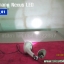 SHIMANO Nexus LED (LED_01)
