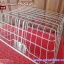 ตะกร้าจักรยาน สแตนเลส Progear - รวมส่ง -