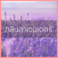 # น้ำหอมกลิ่นลาเวนเดอร์