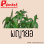 สารสกัดพญายอ 25 ml