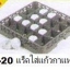 ชั้นต่อแร็ค,ชั้นเสริมขอบแร็ค 20 ช่อง,ชั้นสำสำหรับเพิ่มความสูงลังพลาสติก,สำหรับเสริมลังพลาสติกเก็บแก้วแร็คใส่แก้วลังคว่­ำแก้วลังเก็บแก้วตะกร้าคว่ำแก้วลังพ­สาสติ­กใส่แก้ว Glass Rack Plastick Trp.Tablewarethai / ทีอาร์พี.เทเบิ้ลแวร์ไทย